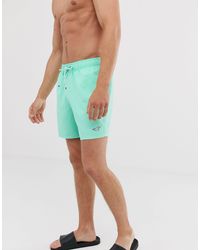 hollister bathing suits mens