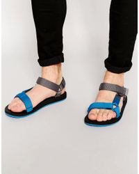teva original universal gradient