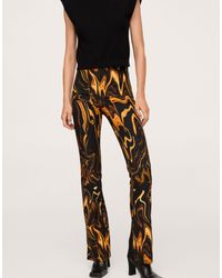 mango pants price