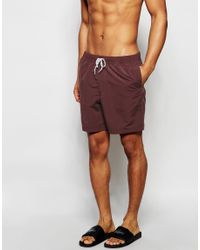 mens burgundy swim shorts