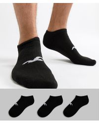 hollister mens socks