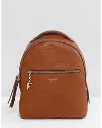 fiorelli rucksack bag