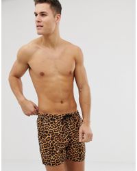men's cheetah print swim trunks