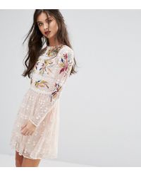 frock and frill embroidered skater dress