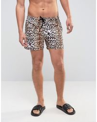 leopard print swim shorts