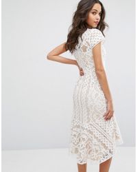 coast dee dee lace dress