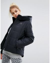 Converse Synthetic Padded Jacket In Black - Lyst