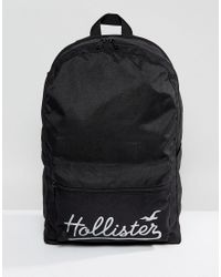 hollister backpacks amazon