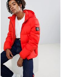 calvin klein red jacket