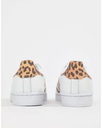 adidas superstar leopard print