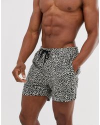 mens leopard print swim shorts