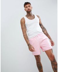 hollister flamingo shorts