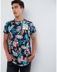 hollister floral