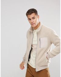 teddy men's jacket