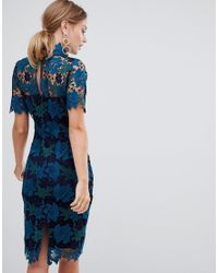 coast charlotte 3 tone lace dress