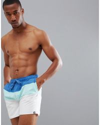 adidas colour block swim shorts