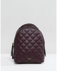 fiorelli blue backpack