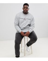 tommy hilfiger big and tall hoodies