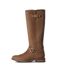 ariat long boots uk