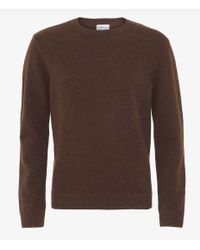 coffee brown sweater