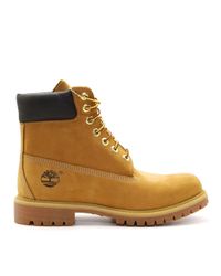 Dames Kuit laarzen Timberland C8606A.WP B ORANGE. Direct leverbaar uit de  webshop van Reese Schoenmode.