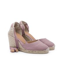 castaner malva