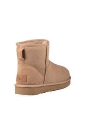 ugg fawn