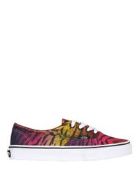 vans cotone vans cotone