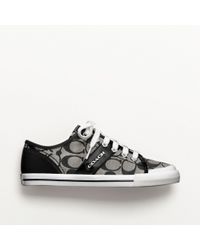coach fillmore sneaker