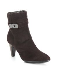 Aquatalia | Brown Danele Buckled Suede Booties | Lyst