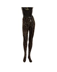 Dolce & Gabbana Brown Leopard Print Mesh Tights Nylon Socks