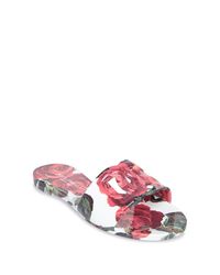 Dolce & Gabbana Dolce & Gabbana 'Bianca' Slides in Pink Lyst UK