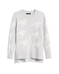 banana republic dog sweater