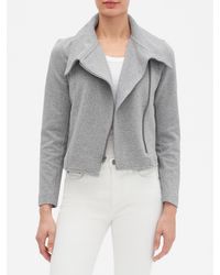 Cotton Textured Knit Moto Jacket 