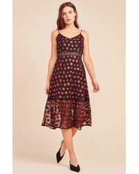jack by bb dakota magic hour dress