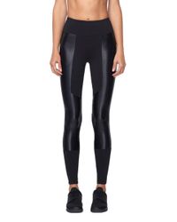 koral frame leggings