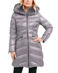 dawn levy coat