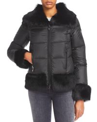 postcard jacket price