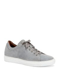 aquatalia men's sneakers