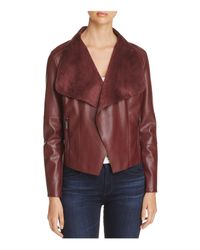 bagatelle collection suede jacket