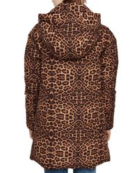 maje leopard coat