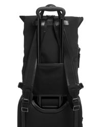 tumi oak roll top backpack