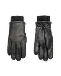 canada goose gloves jacket