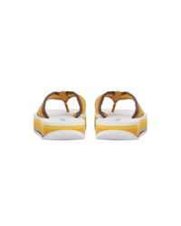 brown rainbow flip flops