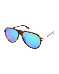 buy polaroid sunglasses online