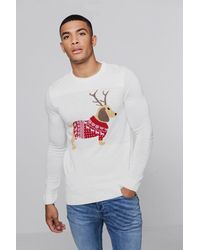 mens dachshund christmas jumper