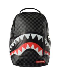 shark sprayground