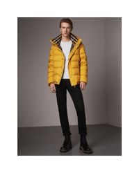 burberry yellow puffer coat