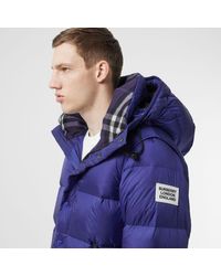 burberry blue jacket