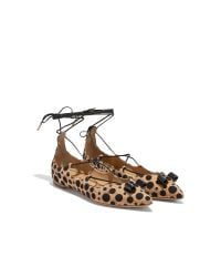 Ferragamo - Black Wrap-around Ballet Flat - Lyst